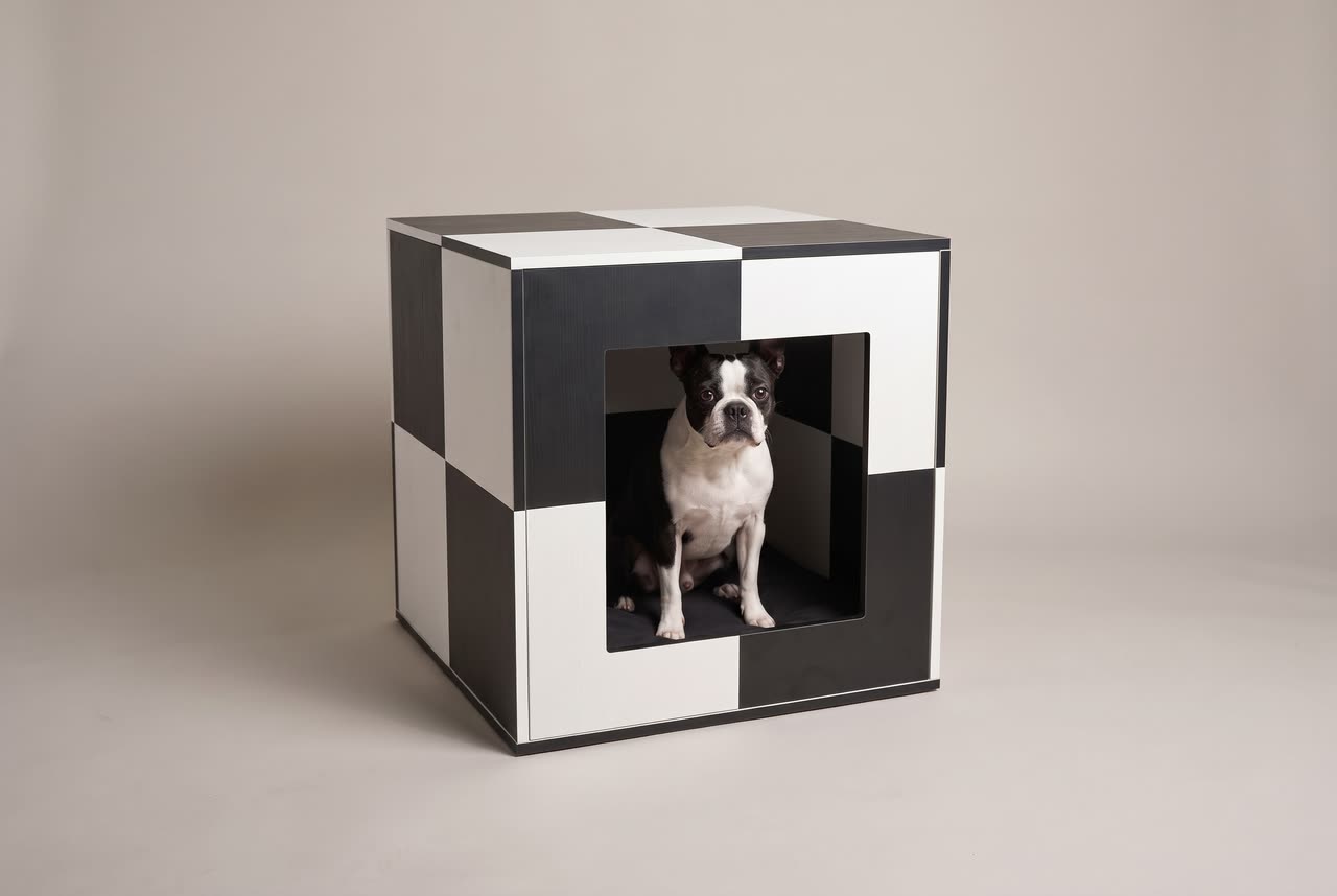 Checker, a black and white cube den. Concept visual